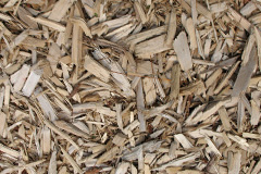 biomass boilers Enochdhu
